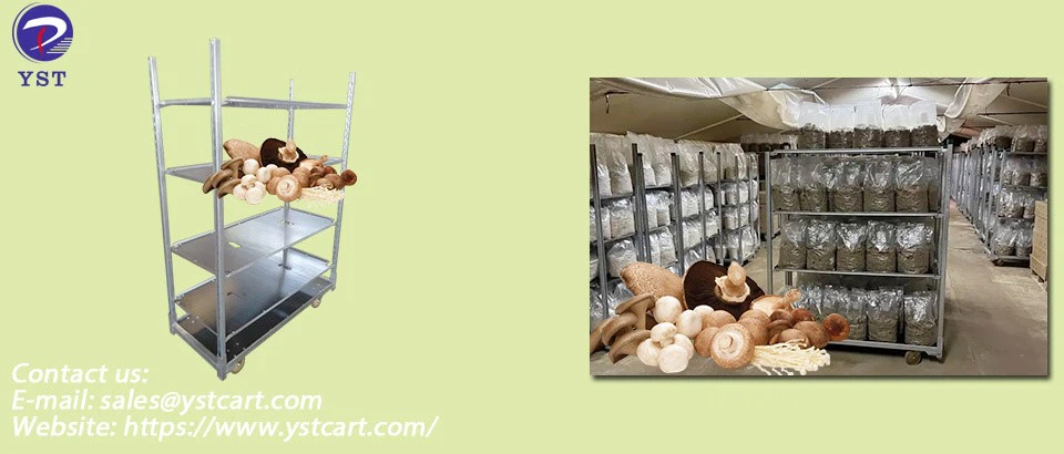 Mushroom Growing Racks-2 Mushroom Growing Racks-2