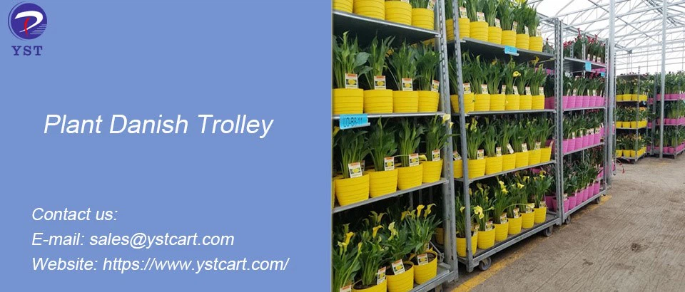 Plant Danish Trolley-1 Plant Danish Trolley-1