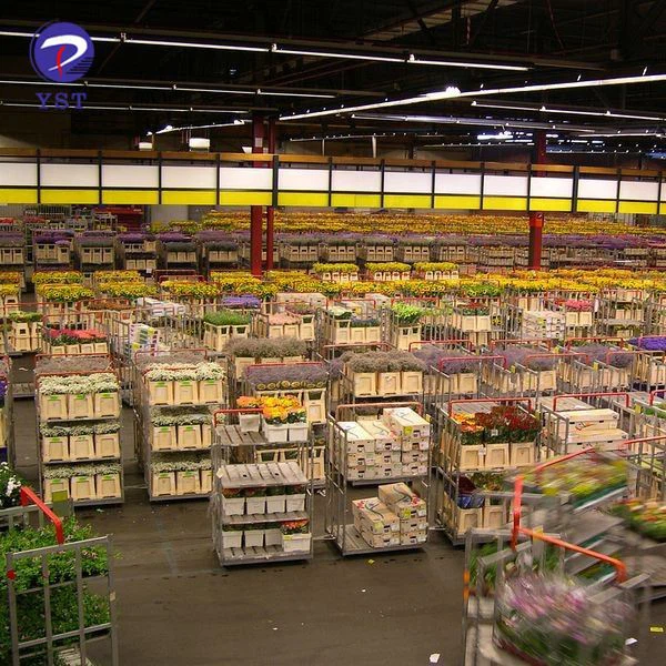 Plant Shipping Carts