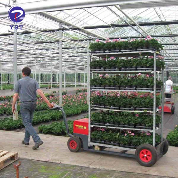Flower Plant Nursery Rack Trolley