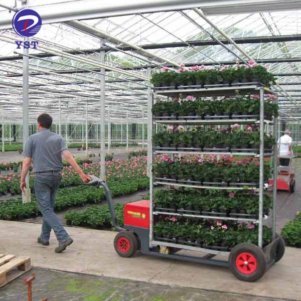 Metal Mesh Pallet Flowers Trolley