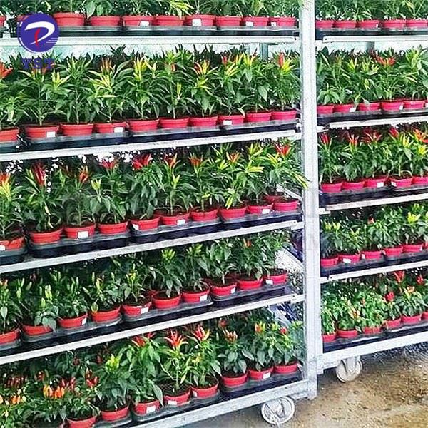 Metal Mesh Pallet Flowers Trolley