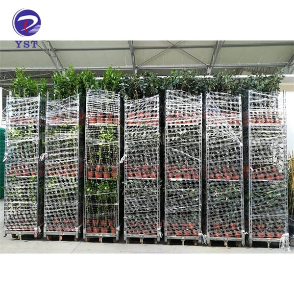 Multi-Shelf Metal Plant Trolleys