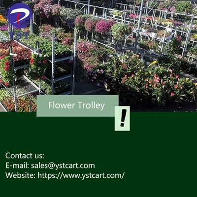 Hvordan projekterer man layoutet af et havecenter med blomstervognen?