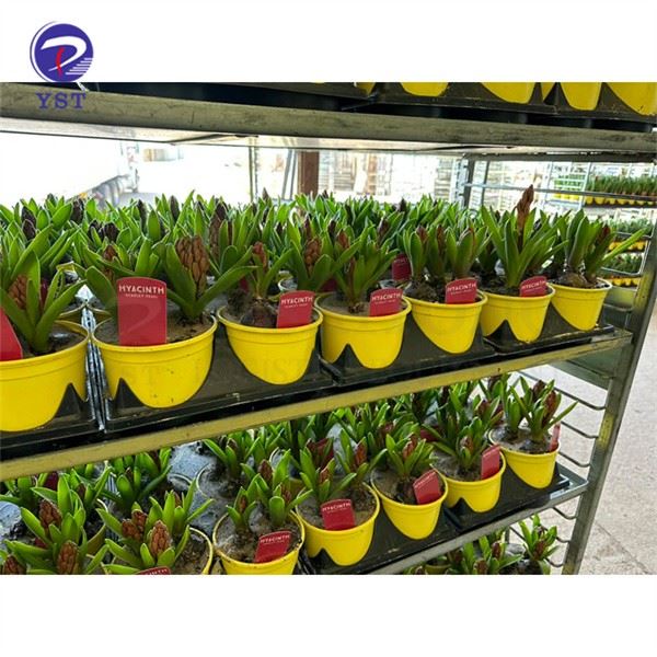 Plant Warehouse Flower Cart