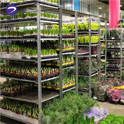 Drivhusplantetransportvogn