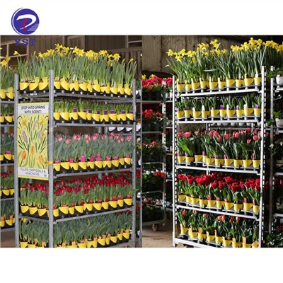 Plantetransprotation rullende metalvogne