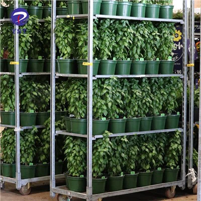 Rullende plantevogn