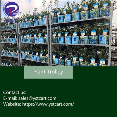 Investering i plantevogne: Fordele for blomsterdistributionscentre